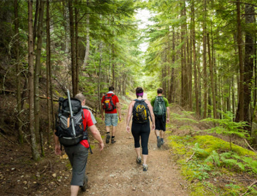 2 802 km de sentiers à améliorer à l’occasion de la Journée internationale des sentiers