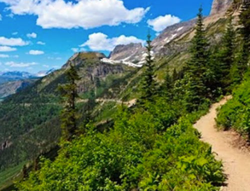 Les milléniales sont l’avenir de nos sentiers